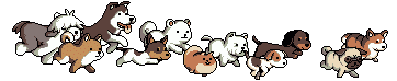Footer Image