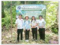 🌳💚 อบต.แม่ปะ รวมพลังรักษ์ป่า! ผนึกกำลังชุมชนจัดกิจกรรม ... Image 1
